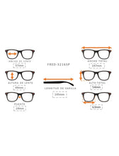 Cargar imagen en el visor de la galería, <div  title='Genero UNISEX | Forma AVIADOR CUADRADO | Color AZUL   | COMPLETO | 147mmANCHOTOTAL | 57mmANCHODELENTE | 49mmALTURADELENTE | 19mmPUENTE | 145MMLONGITUD' > FRED-3216SP C2 </div>

