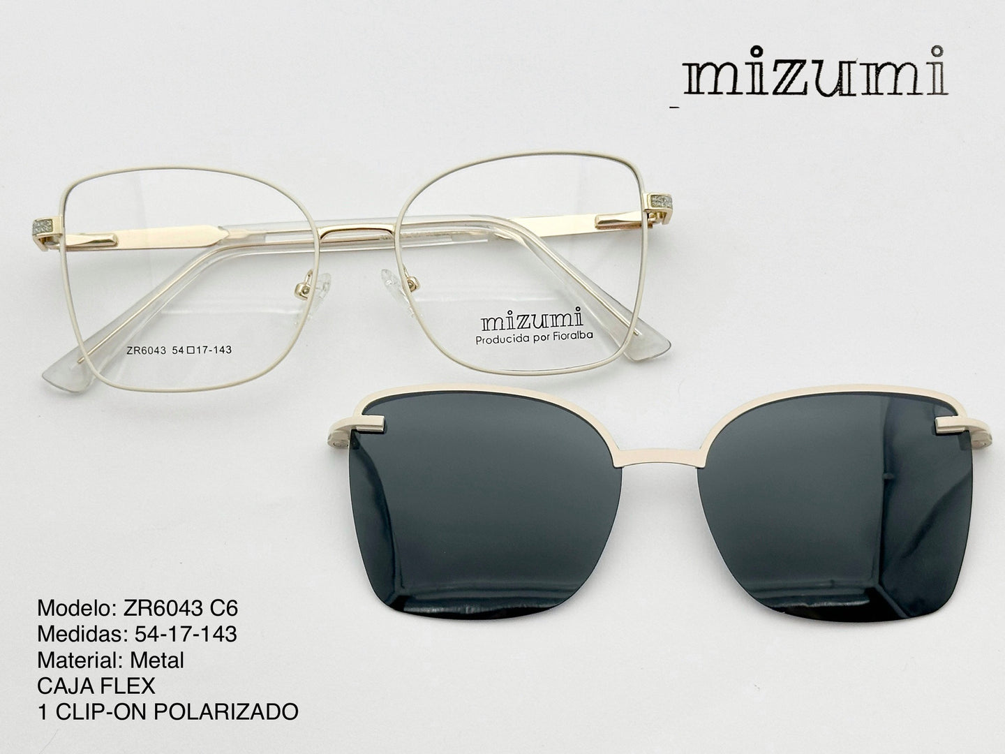 ZR6043 C6